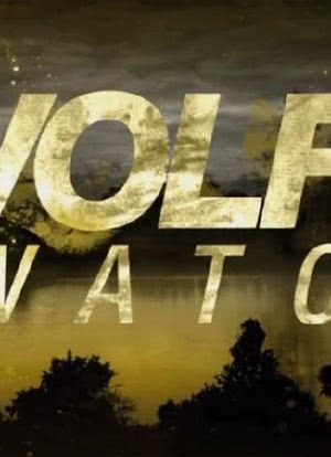 Wolf Watch海报封面图