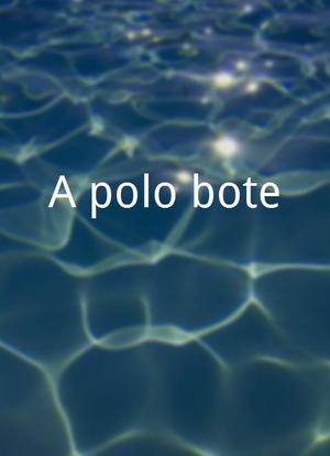 A polo bote海报封面图