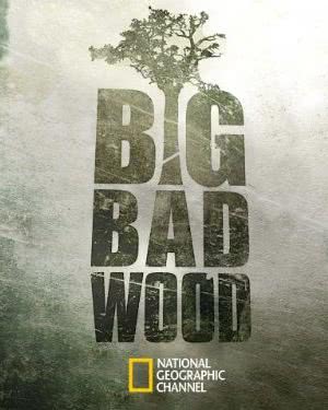 Big Bad Wood海报封面图