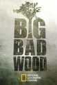 Pete DeStefano Big Bad Wood