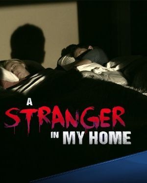 A Stranger in My Home海报封面图