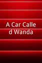 Charles Sanders A Car Called Wanda