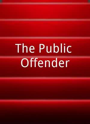 The Public Offender海报封面图