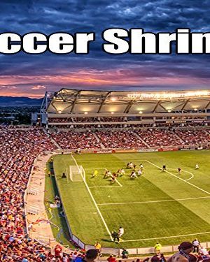 Soccer Shrines海报封面图