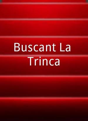 Buscant La Trinca海报封面图