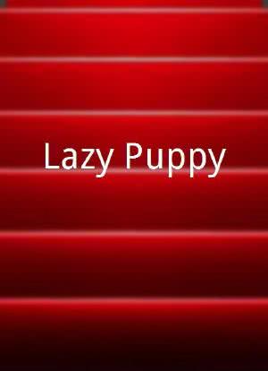 Lazy Puppy海报封面图