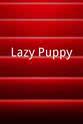 David Lacombe Lazy Puppy