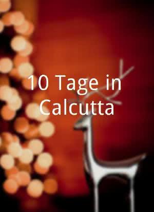 10 Tage in Calcutta海报封面图