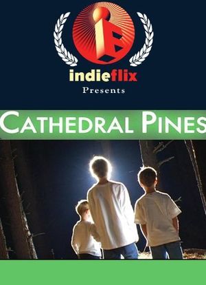 Cathedral Pines海报封面图