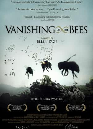 蜜蜂的消亡海报封面图
