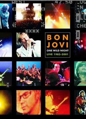VH1 Presents: Bon Jovi - One Last Wild Night海报封面图