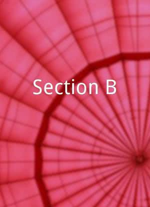 Section B海报封面图
