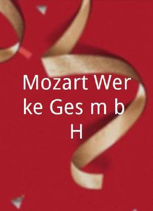 Mozart Werke Ges.m.b.H.海报封面图