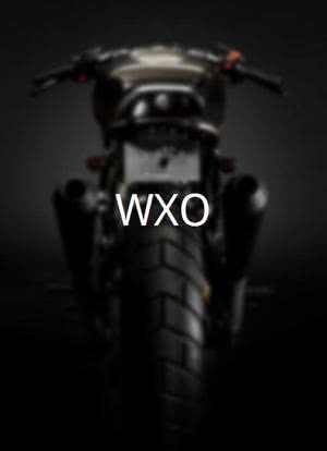 WXO海报封面图