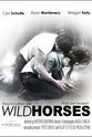 Erin Moots Wild Horses