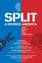 Ted Rall Split: A Divided America