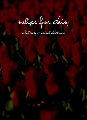 Tulips for Daisy海报封面图