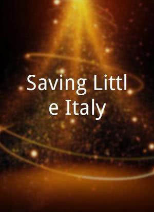 Saving Little Italy海报封面图