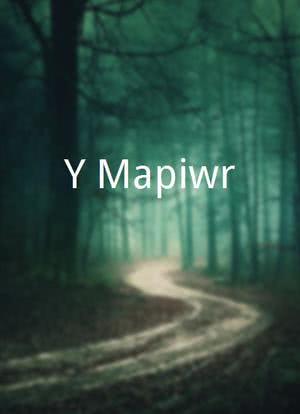 Y Mapiwr海报封面图