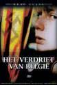 Rudi Van Vlaenderen 比利时的哀愁
