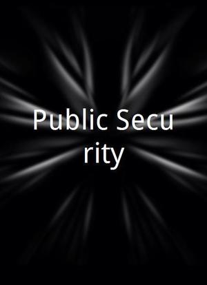 Public Security海报封面图