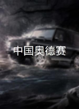 中国奥德赛海报封面图