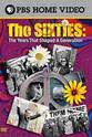 Paul Herlinger The Sixties: The Years That Shaped a Generation