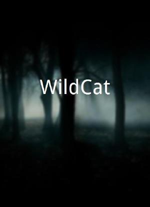 WildCat海报封面图