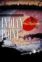 Alex Matthiessen Indian Point: Imagining the Unimaginable