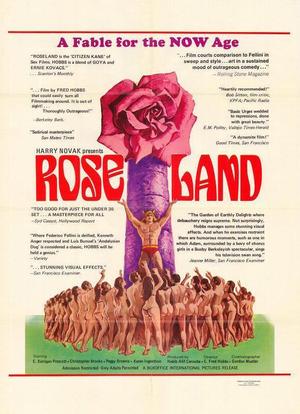 玫瑰园海报封面图