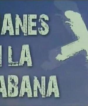 Juanes en la Habana海报封面图