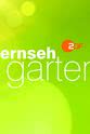 Ken Hensley ZDF-Fernsehgarten