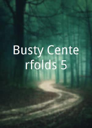 Busty Centerfolds 5海报封面图