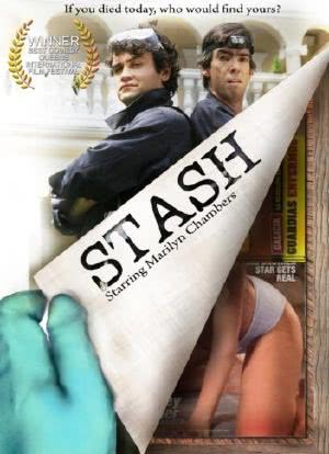 Stash海报封面图