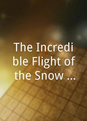 The Incredible Flight of the Snow Geese海报封面图
