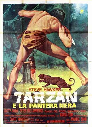 Tarzan and the Brown Prince海报封面图