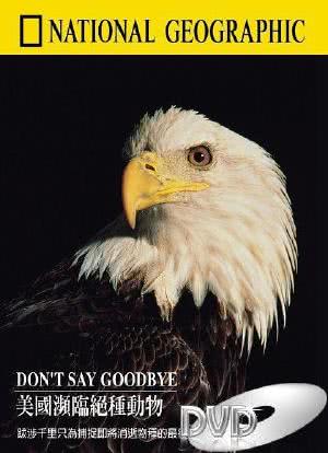 美国频临绝种动物海报封面图