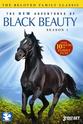 Amber-Jane Raab The New Adventures of Black Beauty