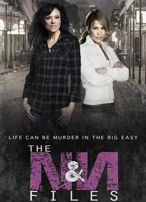 Nikki & Nora: The N&N Files Season 1海报封面图