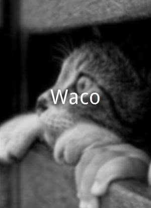 Waco海报封面图