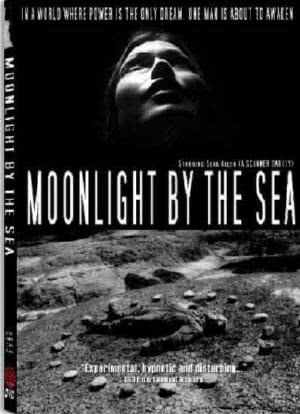 Moonlight by the Sea海报封面图