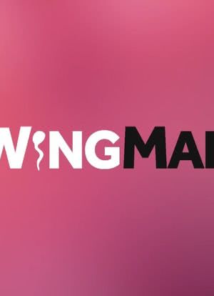 Wingman Season 1海报封面图