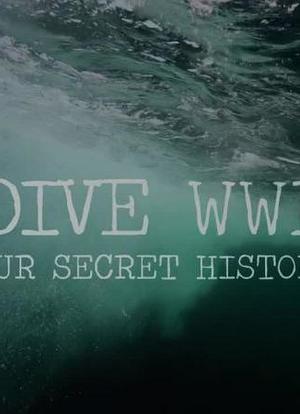 Dive WWII: Our Secret History海报封面图