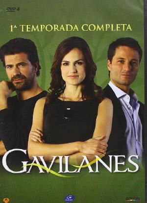Gavilanes海报封面图
