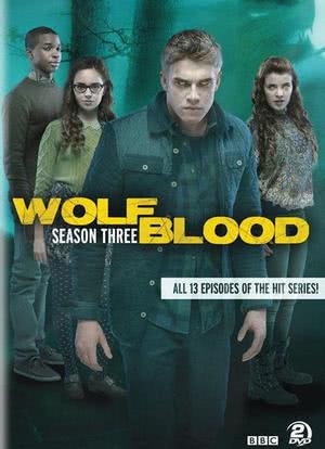 狼血少年 第三季海报封面图