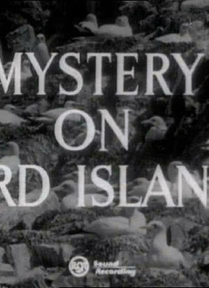 Mystery on Bird Island海报封面图