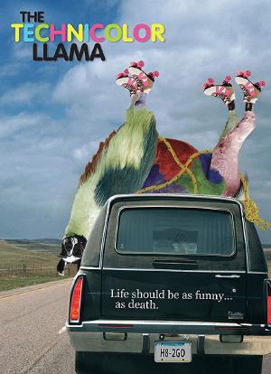 Technicolour Llama海报封面图