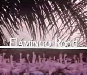 Flamingo Road海报封面图