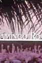 Niva Ruschell Flamingo Road