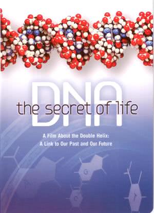 DNA：生命的秘密海报封面图